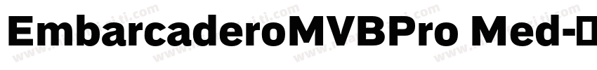 EmbarcaderoMVBPro Med字体转换